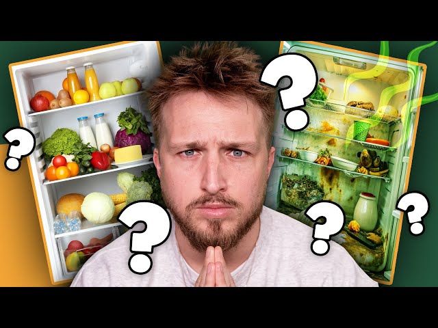 Can Shayne Guess Our Fridges?