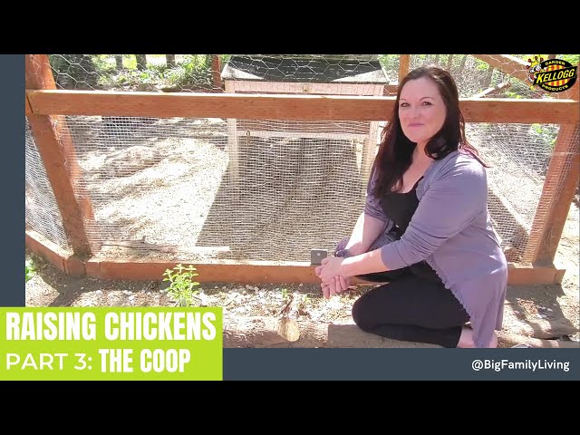 Customizing The Chicken Coop 🐣 🐥🐓 Raising Chickens Part 3