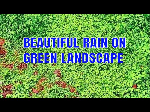 Beautiful Relaxing Music With Rain Sounds For Sleep Instantly