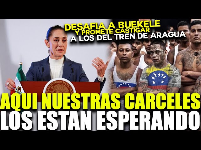 CLAUDIA SHEINBAUM DESAFIA A BUKELE !! Y PROMETE CASTIGAR AL TREN DE ARAGUA !! MEXICO ES SEGURO