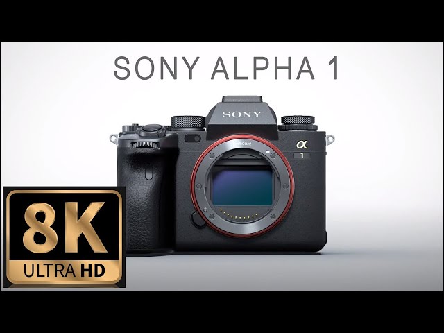 Sony A1 8K Video Samples - 8K Video