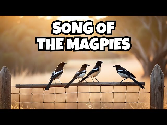 Start Your Day with Australia's National Anthem by Australian Magpies