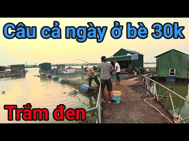 12h CÂU CÁ Ở BÈ 30 K MỚI MỞ Ở THIÊN BỒNG HẢI DƯƠNG SẼ NTN#caucasong#fishing