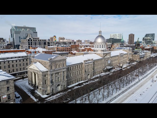 Snowy Montreal