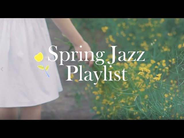 ☕playlist/커피 마실 때  잔잔하게 듣기 좋은 Spring jazz🌷 soft bossa nova jazz Cafe Vibe playlist