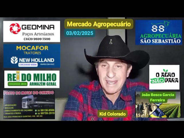 Mercado Agropecuário 03/02/2025 (Obs: Os preços são atualizados todos os dias pelo CEPEA)