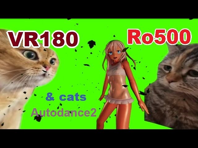 [VR180] Ro500 & cats , Autodance2 [DanceXR] #猫ミーム #catmemes