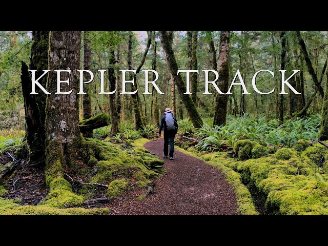 Kepler Track Day 1 & 2 I Hiking New Zealand I Great Walks No 2