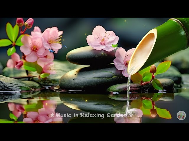 Beautiful Relaxing Music, Nature Sounds, Deep Sleeping Music, Meditation Music, Calm Music Bamboo #3