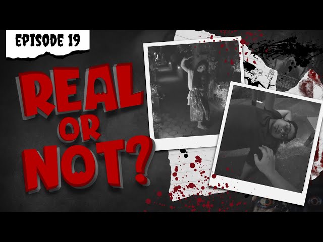 Real or Not - Episode Nineteen (POVs)