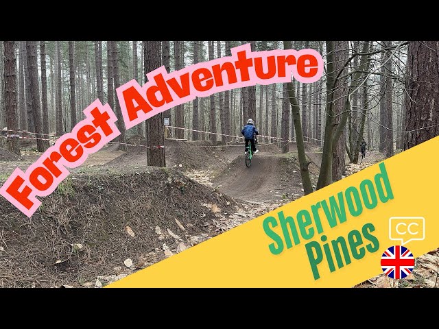 Sherwood Pines Forest Adventure Sherwood stunt bike jumps 6.5km  walk