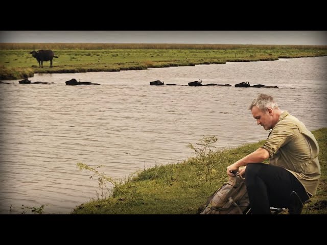 J’AIDE DES LOCAUX À SAUVER LEURS ANIMAUX - Cyril Chauquet