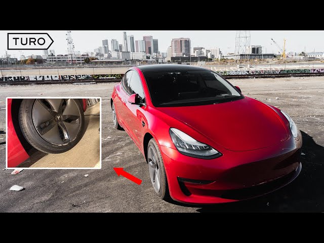 HOW MUCH MY TESLA HAS MADE ON TURO *DAMAGED