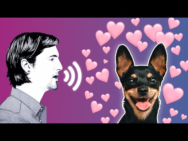 How Dogs REALLY Want You To Talk To Them