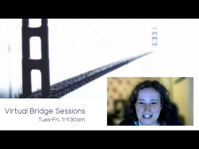 Virtual Bridge Sessions: Playful Learning Online – My Successes and Failures