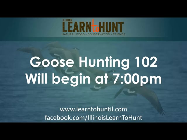 Goose Hunting 102