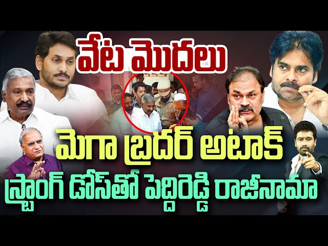 LIVE-వేట మొదలు..మెగా బ్రదర్ అటాక్..స్ట్రాంగ్ డోస్ తో పెద్దిరెడ్డి రాజీనామా | Telakapalli On Nagababu