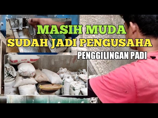 PROSES PENGGILINGAN PADI/HELERAN