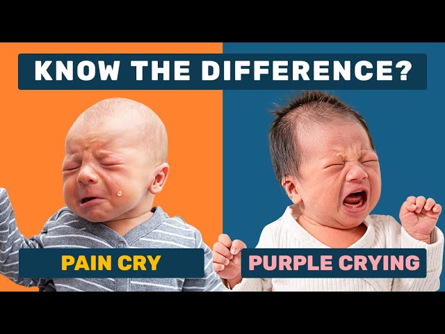 Don’t Mistake Pain With Purple Crying