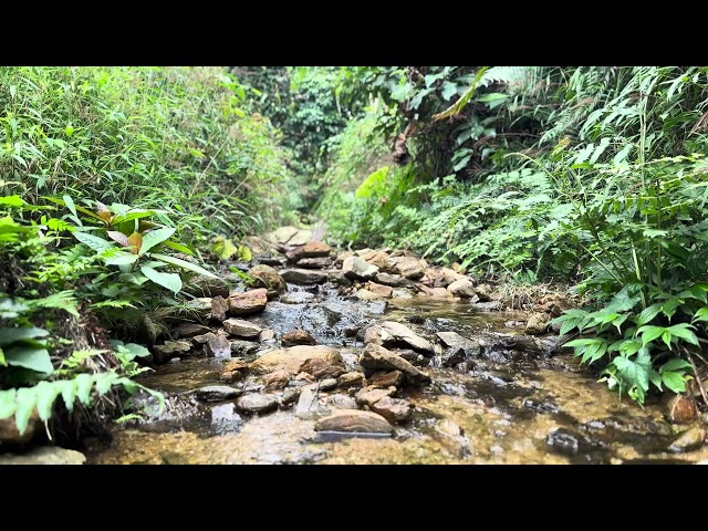 2 Hours of Flowing Water Sounds | Ultimate Relaxation with Nature's Serenity