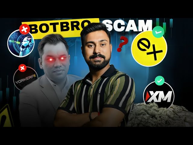 YorkerFX BotBro Real OR Fake ? || YorkerFX Plan In Hindi 2025 || BotBro Plan Review