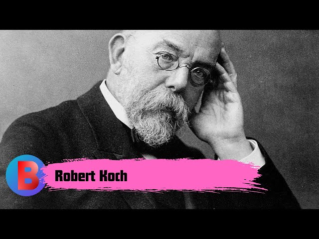 Robert Koch | Biography