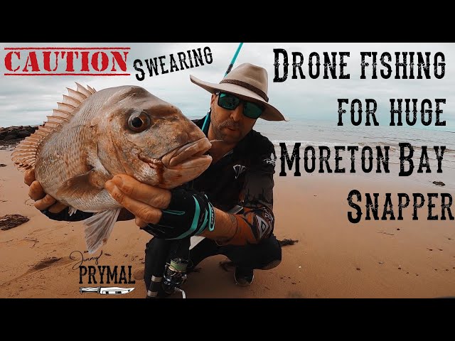 Moreton Bay Snapper: Caught by drone