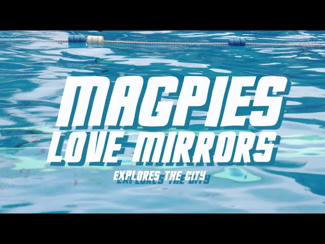 MAGPIES LOVE MIRRORS Explores The City (Episode 1)