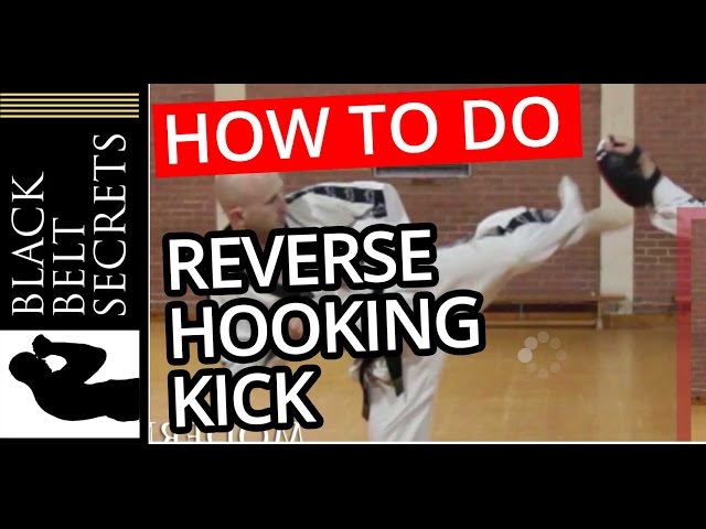 Reverse Hook Kick (Spinning Kick)