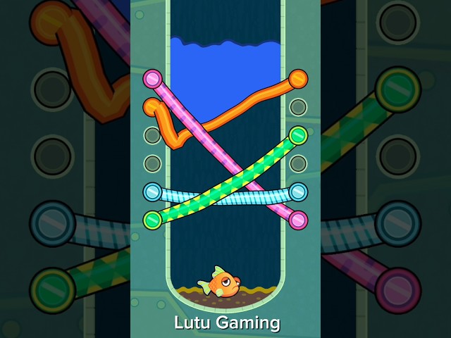 Save the fish 🐠 Level 170 #shortvideo #trending #gameplay #Lutu Gaming #viralshorts #youtubeshorts