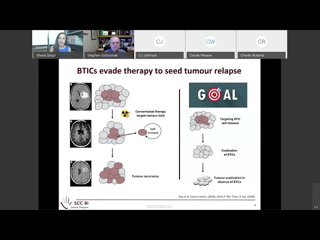 031 Therapeutic Targeting of Self Renewal of Medulloblastoma Stem Cells  Strategies