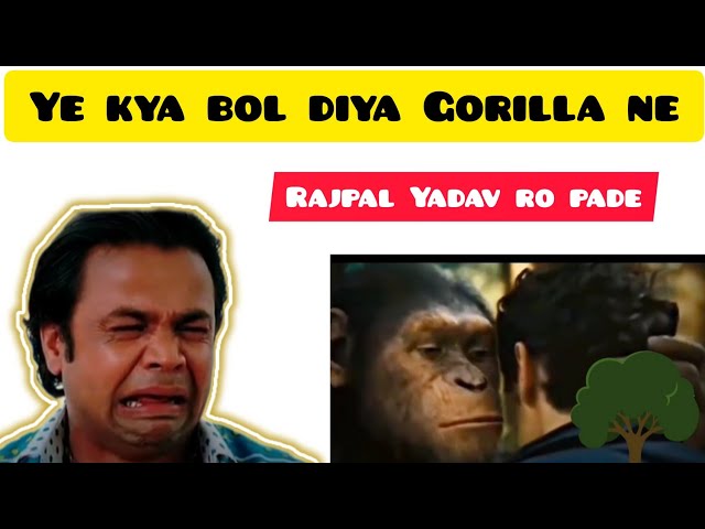 Hollywood movie/Gorilla funny scene video|| funny 🤣#short