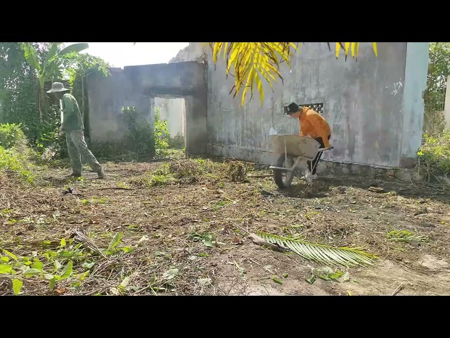 The Abandoned Old House Was Completely Cleaned & Converted for Free