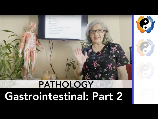 Gastrointestinal Pathologies Part 2