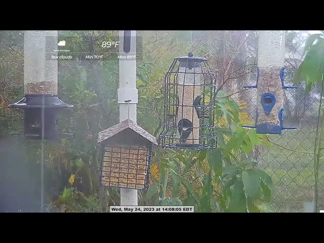 Rain and Thunder Sounds Nature Relaxing