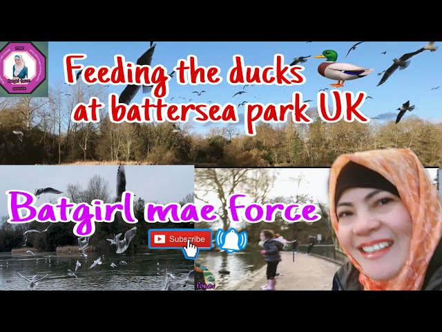 Feedings of the ducks 🦆 at battersea park/ batgirl mae force