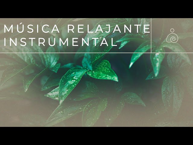 Música Instrumental - Positive Morning - Para levantar el ánimo