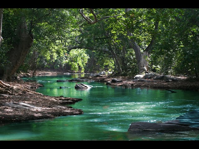 Music and the sound of running water are healing