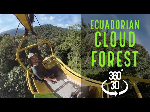 Ecuadorian Cloud Forest in 360 VR!! (2018)