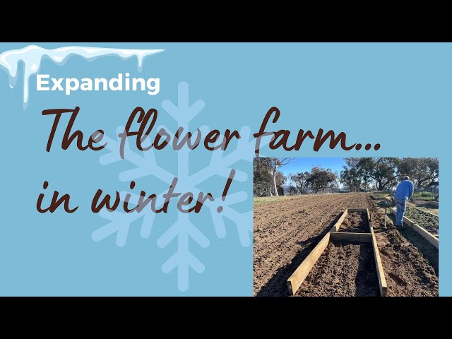 Expanding the flower farm with winter hardy annuals and perennials! @ValleyViewFlowerFarmVlogs