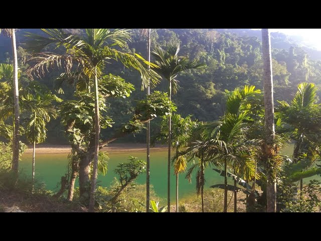 River Lukha | Narpuh Wildlife Sanctuary | Umkiang Bridge | Sonapur | Meghalaya