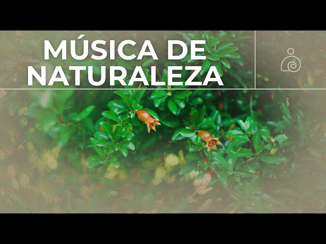 🌿Amanecer en la naturaleza / Libera El Estrés Y la Ansiedad /🌿