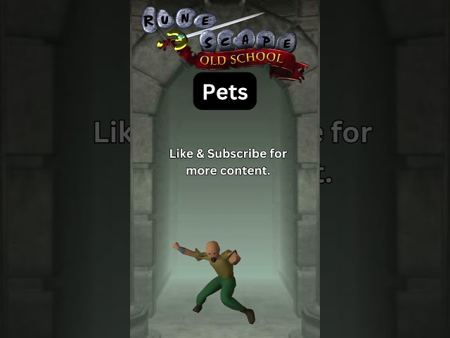 Pets   OSRS TIPS AND TRICKS #osrstips 2