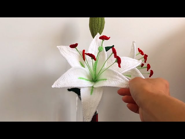 How to Crochet a Lily