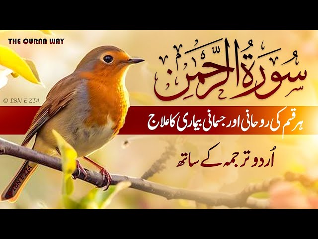 SURAH RAHMAN URDU HINDI TRANSLATION BY AL SHAIKH QARI ABDUL BASIT ABDUL SAMAD 🌹 QURAN TILAWAT live