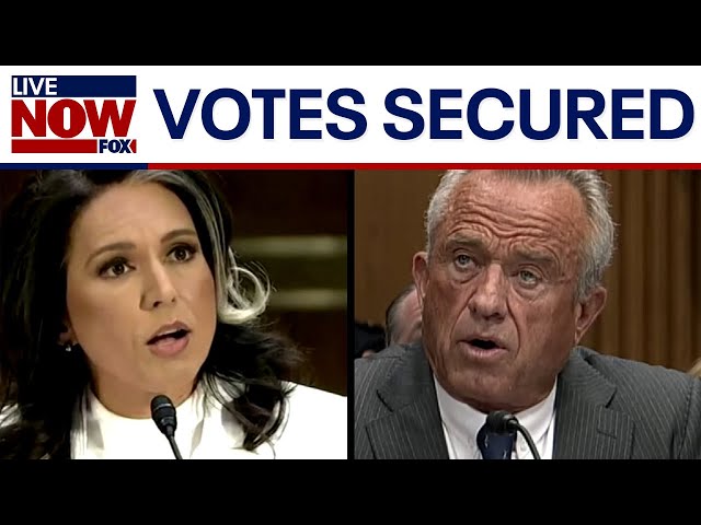 RFK Jr., Gabbard will advance to full Senate for confirmation votes | LiveNOW from FOX