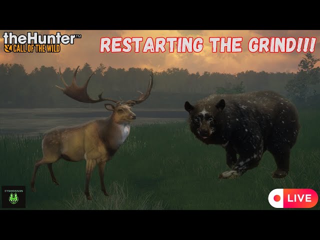 Restarting the Grinds! | theHunter: Call of the Wild