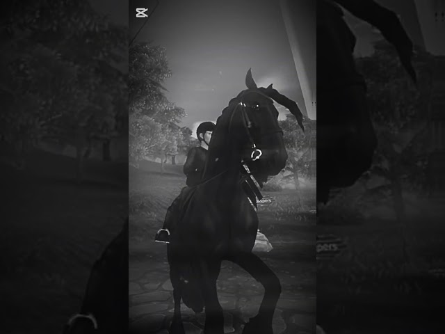 The Black Beauty Trailer 🐴✨#horse #new #sso #shortsviral #edit