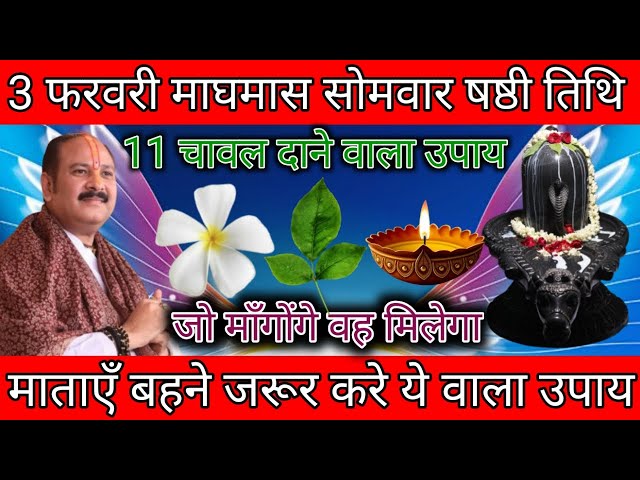 3 फरवरी माघमास सोमवार षष्ठी तिथि को 1 सफेद फूल वाला उपाय जरूर करे || Pradeep Ji Mishra