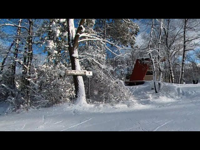 NORDIC MOUNTAIN - SKIING AVALANCHE - BLACK DIAMOND 360